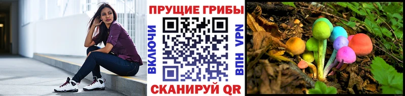 Галлюциногенные грибы GOLDEN TEACHER  Купить  Сухиничи 